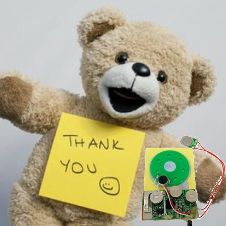 ODM OEM Audio Recordable Sound Module Dengan Papan PCB Speaker 6